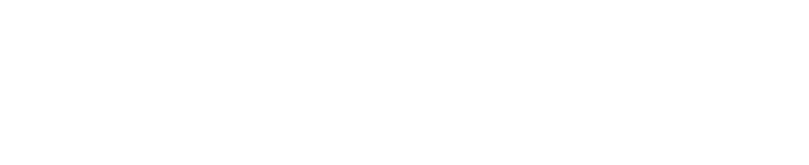Cowin Logo White